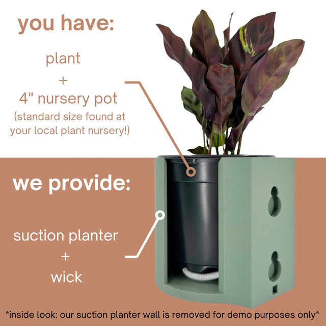 Suction Planter: Muted Green