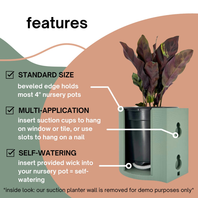 Suction Planter: Terracotta