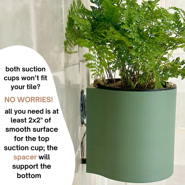 Suction Planter: Muted Green