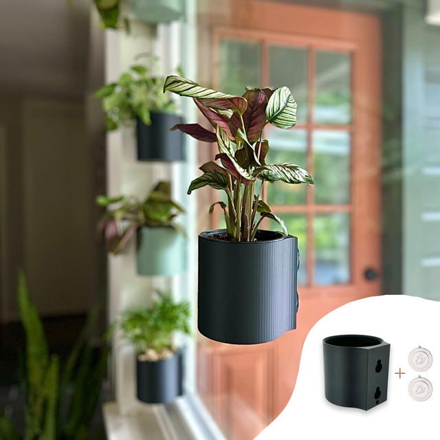 Suction Planter: Muted Green