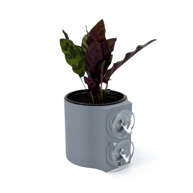 Suction Planter: Grey