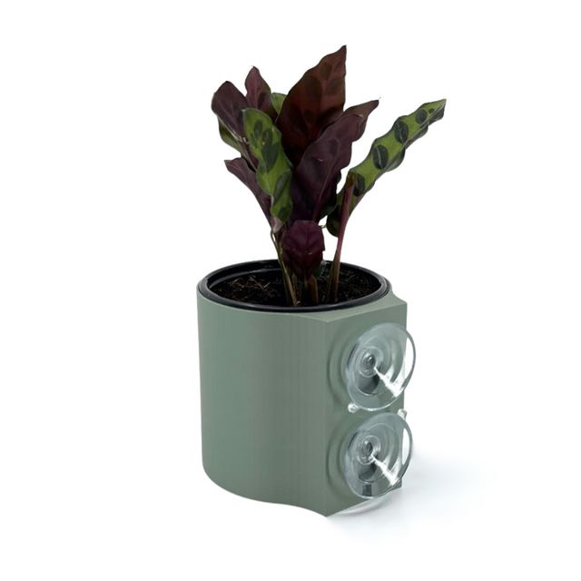 Suction Planter: Muted Green