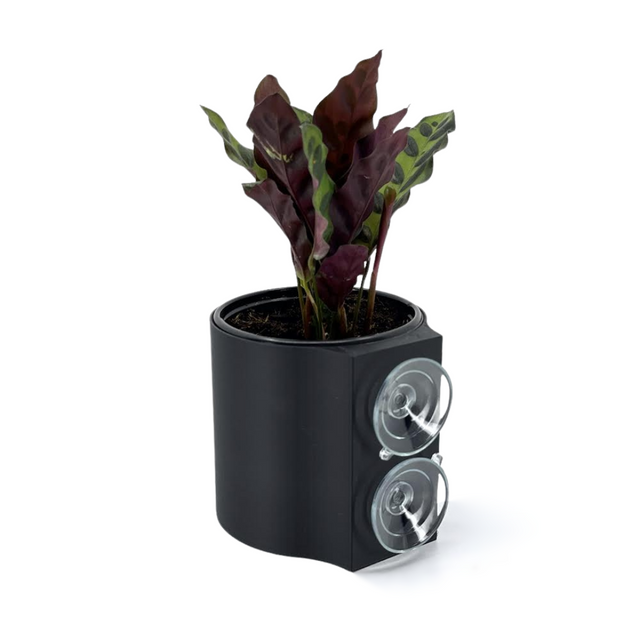 Suction Planter: Black