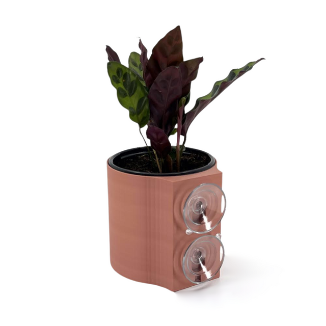 Suction Planter: Terracotta